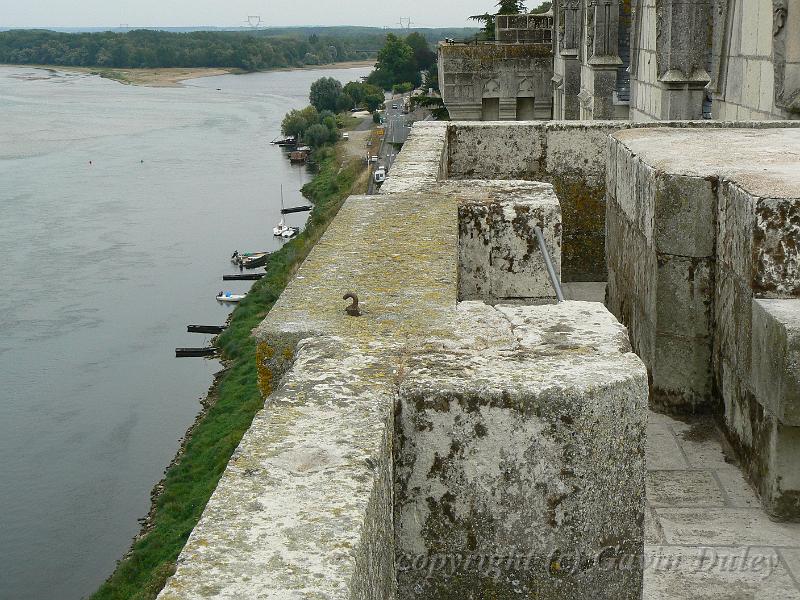 The Loire from Montsoreau Chateau P1130446.JPG